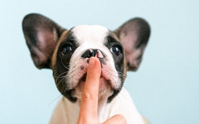 How to Sue for Slander: Defamation Lawsuit