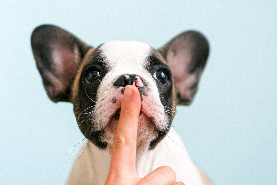 How to Sue for Slander: Defamation Lawsuit