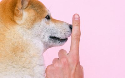 Adultery Laws in California: What You Need to Know