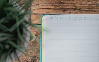 How to Make a Child Visitation Schedule in California