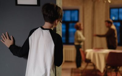 Domestic Violence and Child Custody: CA Family Code 3044