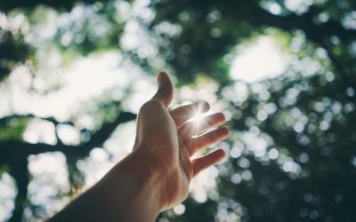 How to Prevent Human Trafficking