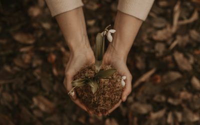 How Does Gender Inequality Affect the Environment?