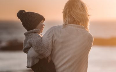 Domestic Violence Custody Factors: CA Family Code 3011