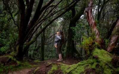 How to Fight Parental Child Abduction Charges in California