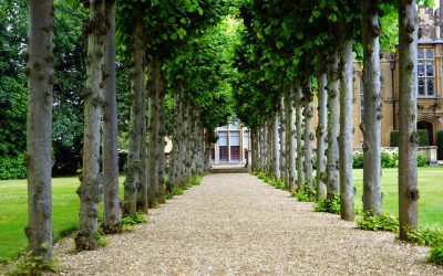 10 Mistakes to Avoid During Estate Planning in a Divorce