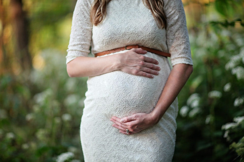 Surrogacy Laws By State