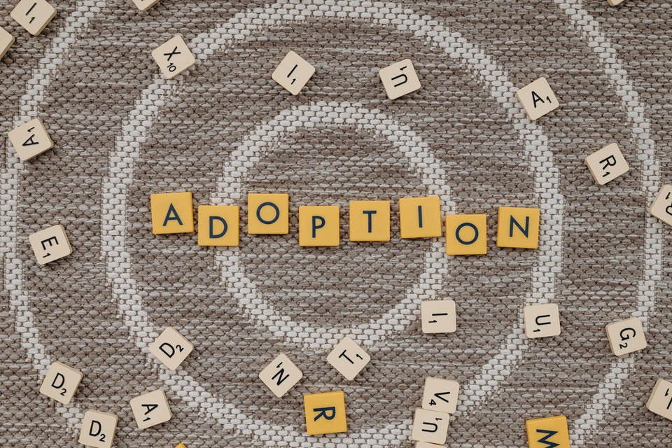 Adoption Laws in California: The Basics