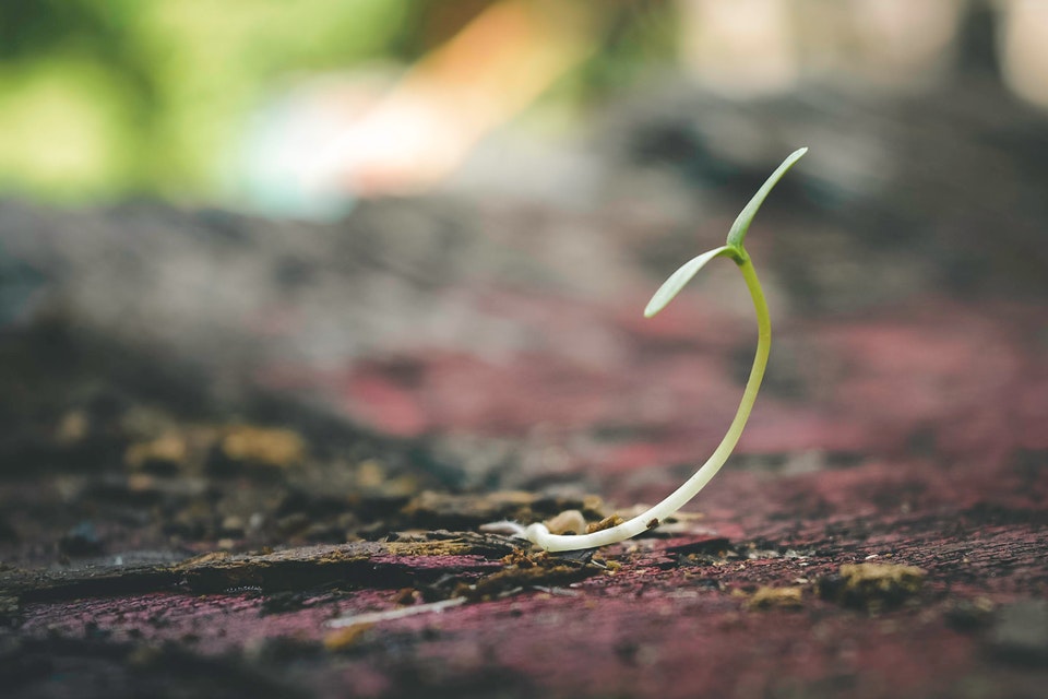 How to Successfully Grow Your Law Firm