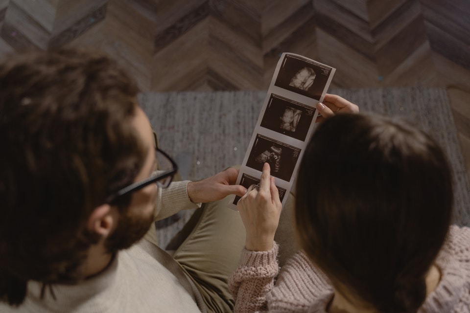 What to Include in an Egg Donation Contract in California