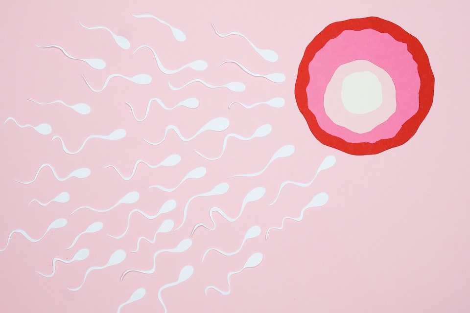 Is a Sperm Donor a Legal Parent?