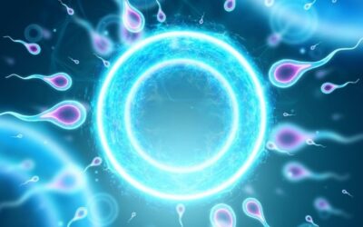 Forming a Sperm Donor Agreement in Virginia