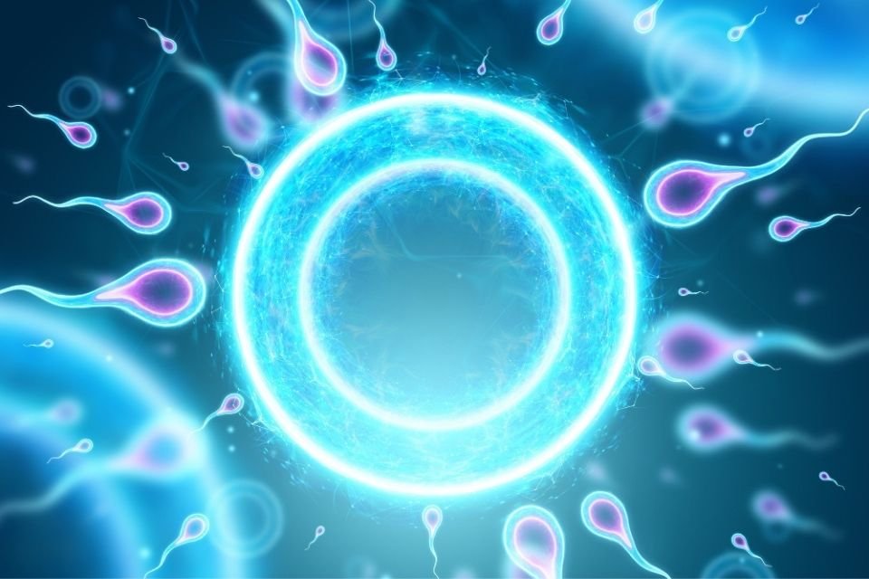 Forming a Sperm Donor Agreement in Virginia