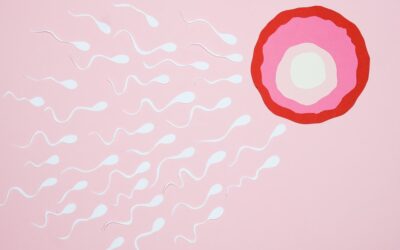 The Basics of Known Sperm Donation in California