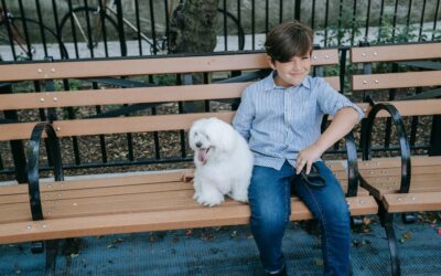 Pet Custody After a Breakup: Who Keeps the Dog?